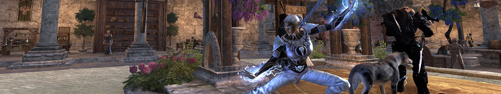 Sit and Drink - ESO header