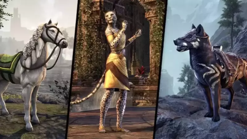 February Crown Store Showcase for 2022! Image