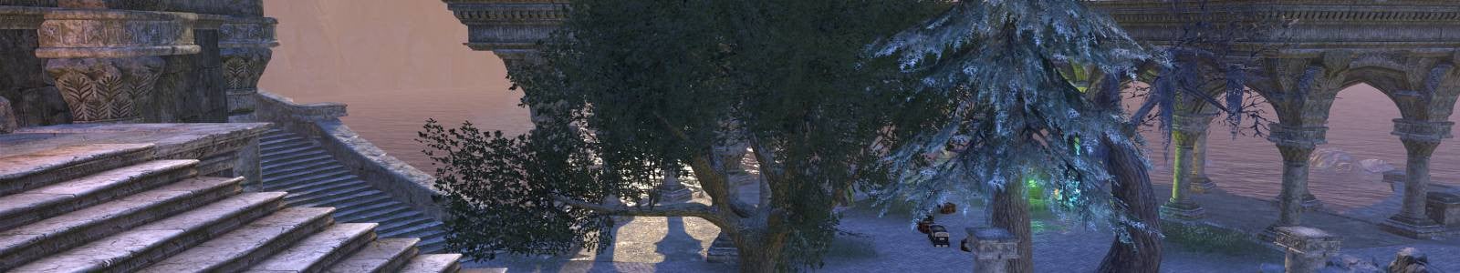 Arbre, pin blanc enneigé géant - ESO header