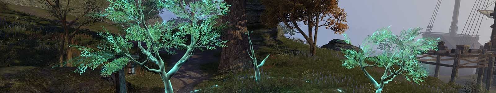 Secluded Grove Skill - ESO header