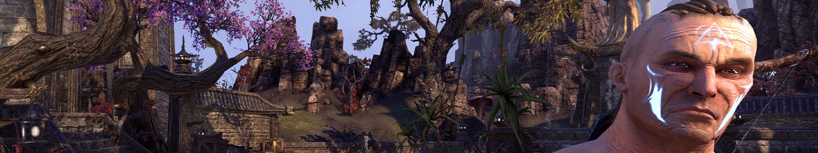 Scarred Right Brow and Cheek - ESO header