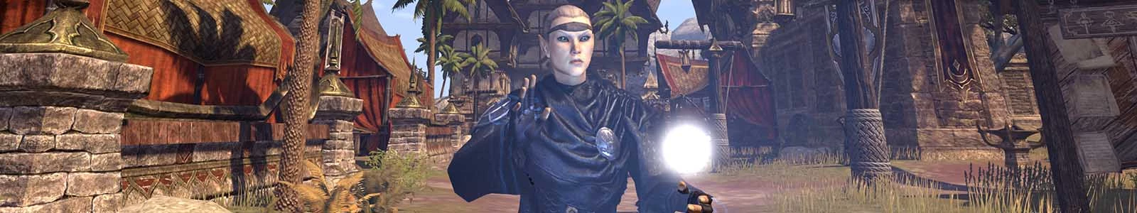 aldmerische Abstammung header image