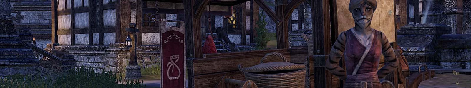 Inventory Space Increase Guide - Elder Scrolls Online header image