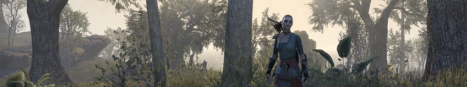 Guide du Compagnon Mirri Elendis dans ESO header image