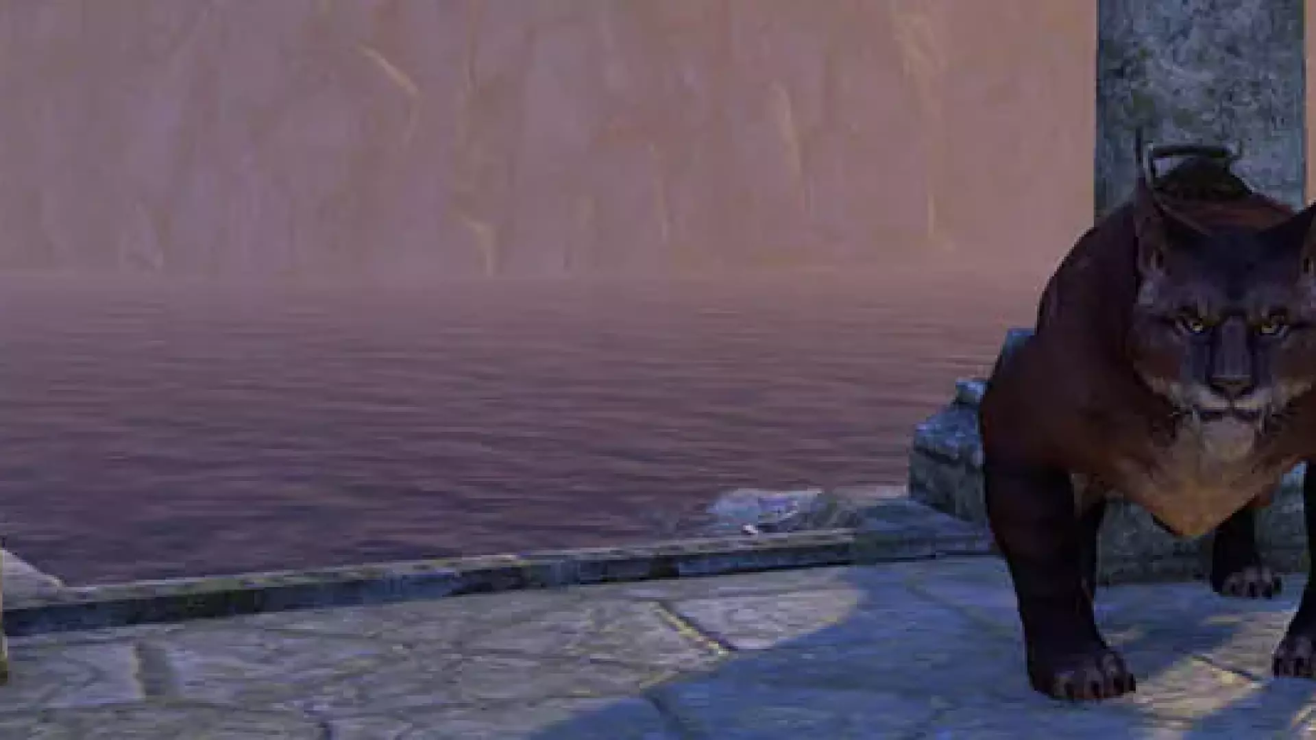 Reittiere header image