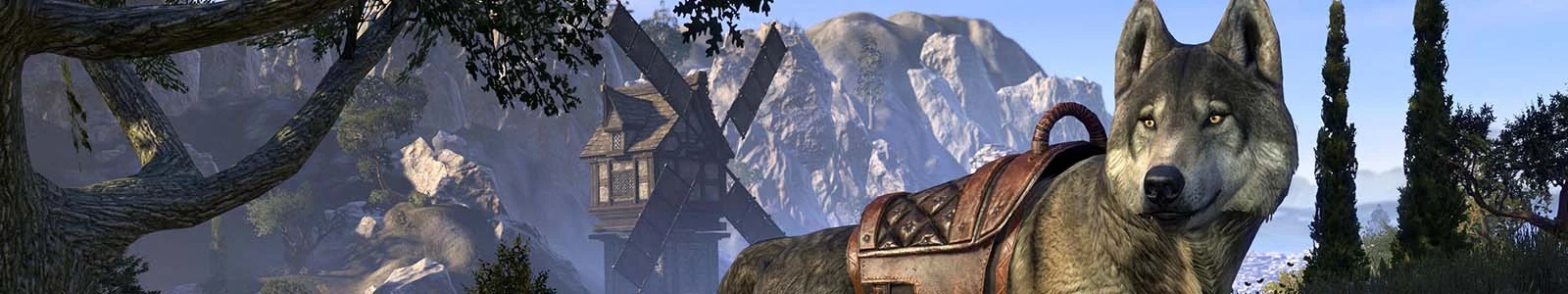 Mounts header image