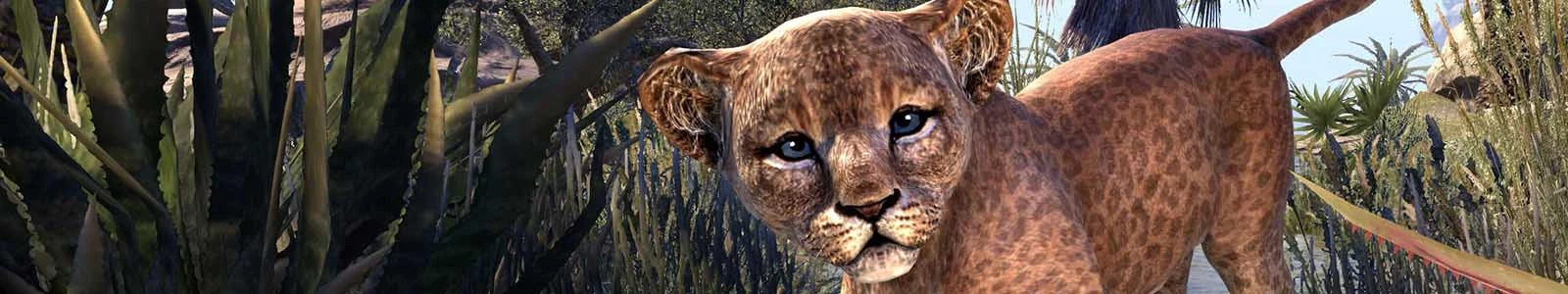 Non-combat Pets header image