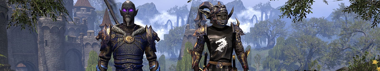 Elder Scrolls Online - More Like Fashion Scrolls Online - The