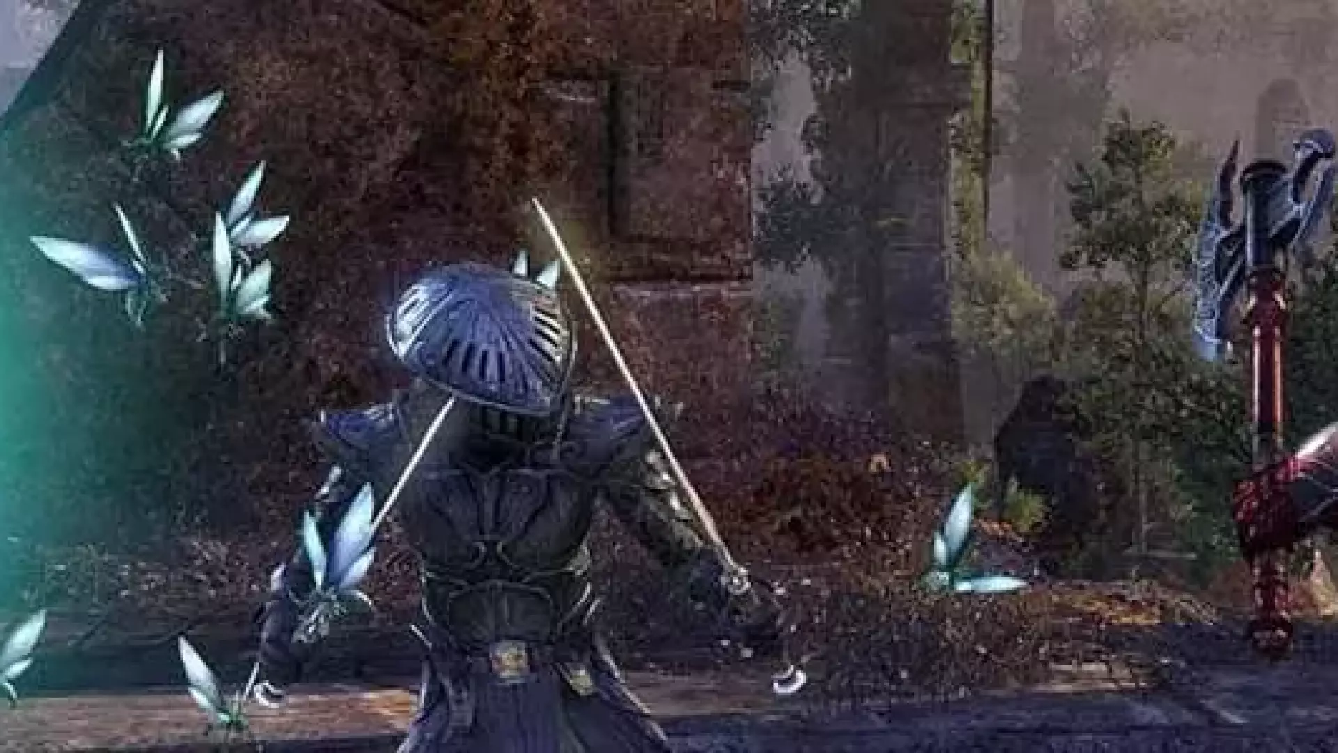 PvP header image