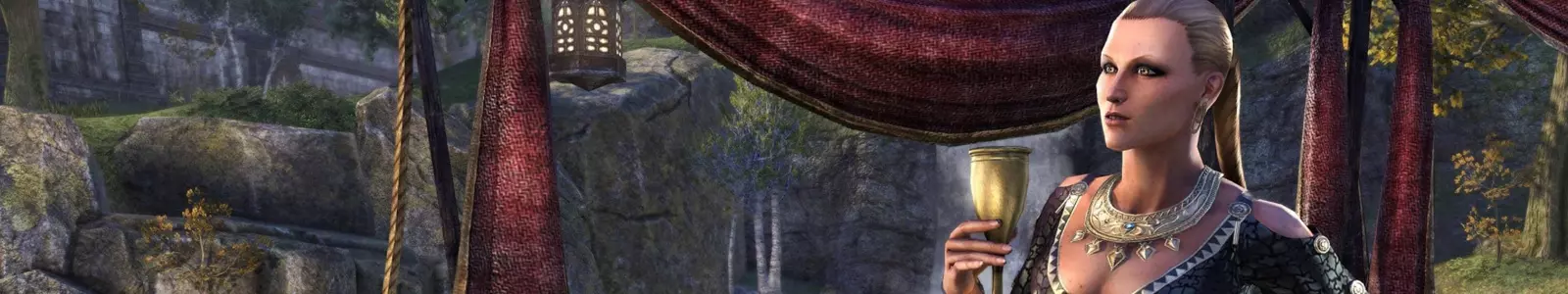 The Impresario Guide for ESO header image