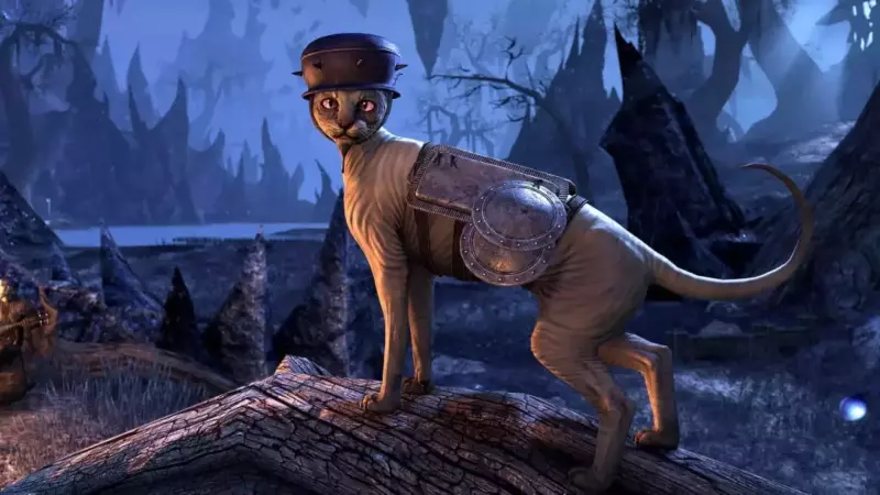 The New Skins and Outfit Items coming to ESO this month Image