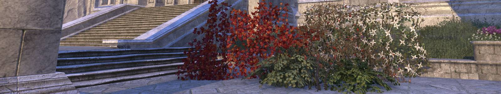 Vine, Flowering Wyrdbloom Strand - ESO header