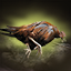 Poultry Assassin icon