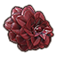 Алая бегония Icon