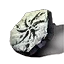 Anu Crest Icon icon