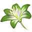 Chartreuse Lily Petals icon