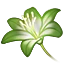 hellgrüne Lilienblätter icon