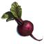 Betteraves icon