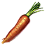 Carottes icon