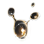 Желчь моллюска icon