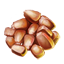 Barley Icon icon