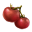 Tomate icon
