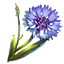 Corn Flower icon