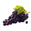 Raisins de Jazbay icon