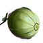 Melon icon