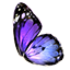 Aile de papillon icon