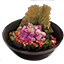 Eidar Radish Salad icon