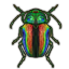 Polished Scarab Elytra Icon icon