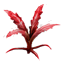 Crimson Nirnroot icon