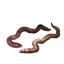 Worms, Saltwater Bait Icon icon