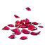 Red Rose Petals icon