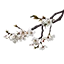 Kirschblütenzweig icon
