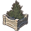 Fargrave Container Plants, Small Icon icon