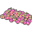 Tomates de la Tombe du Fin fond, grappe Icon icon