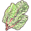 Leyawiin Lettuce, Leaf icon
