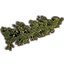 Dawnwood Fence, Short Icon icon