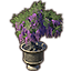 Alinor Potted Plant, Pink Wisteria Icon