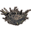 Gryphon Nest icon