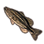 Fish, Bass icon