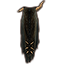 Wood Elf Wall Hide, Spotted Icon icon
