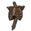 Bones, Torso Icon icon