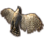 Taxidermie, oiseau de proie icon