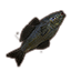 Fish, Large icon