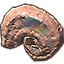 Sonnenwende-Muschel, versteinerte Meeresschnecke Icon icon