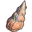 Coquillage de Solstice, turritella fossilisée Icon icon