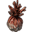 Tide-Born Ornament, Painted Coral Icon icon